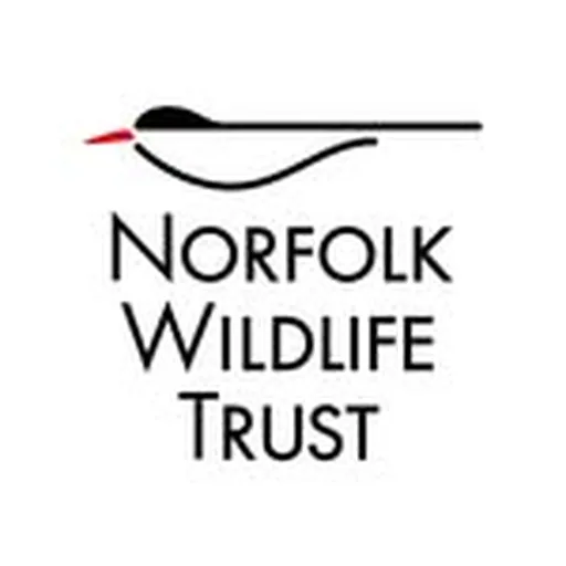 @norfolkwt profile image