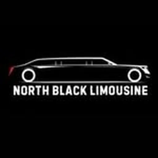 @north_black_limousine profile image