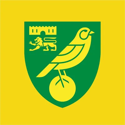 @norwichcitycsf profile image