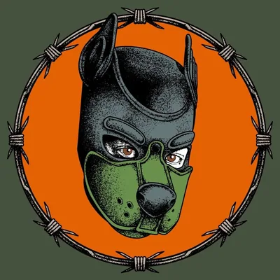 @notcamdamage profile image