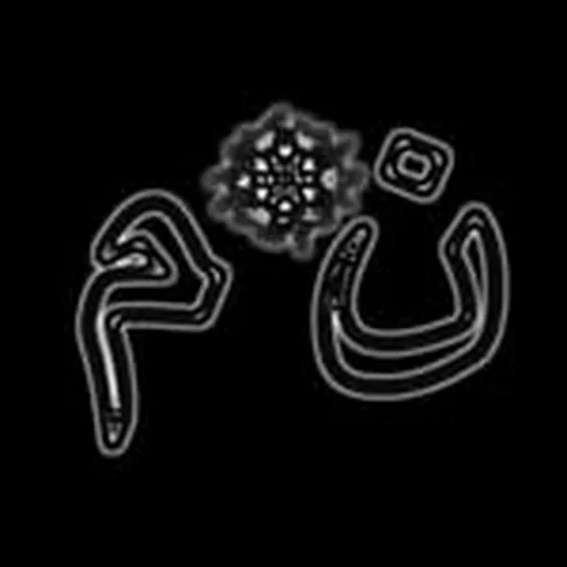 @nothingmattersusa profile image