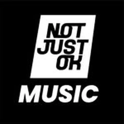 @notjustokmusic_ profile image