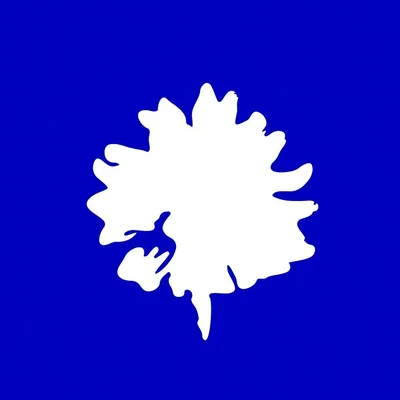 @nous.dalia profile image
