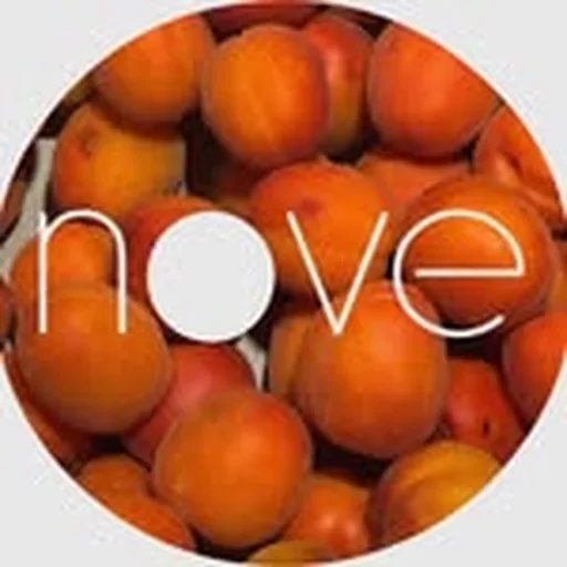 @nove.coat profile image