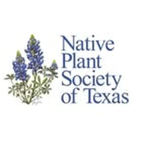 @npsot profile image