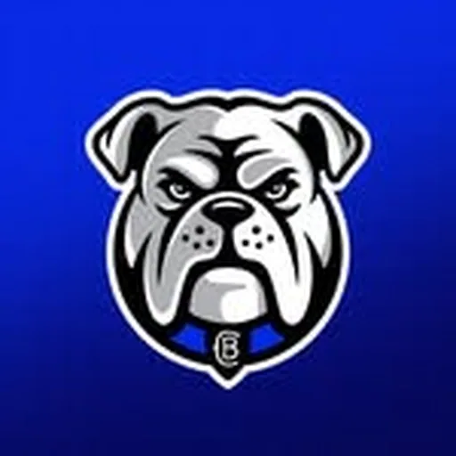 @nrl_bulldogs profile image