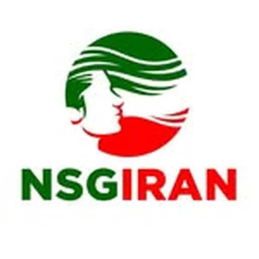 @nsgiran profile image