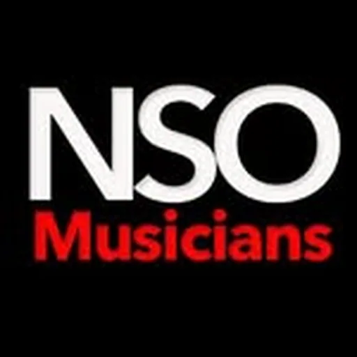@nso_musicians profile image