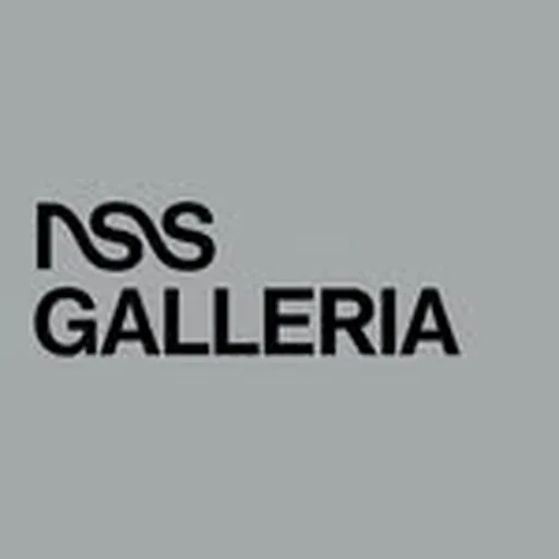@nssgalleria profile image