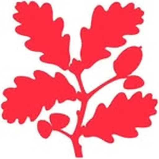@ntdunhammassey profile image