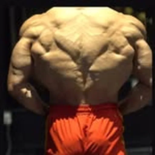 @nunez3dmj profile image