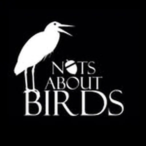 @nuts_about_birds profile image
