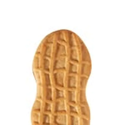 @nutterbutter profile image