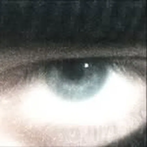 @nvpvlm profile image