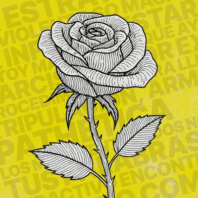 @nxrcisistxs profile image