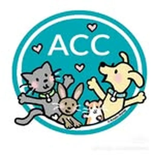 @nycacc profile image