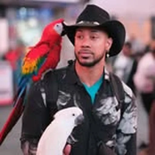 @nycbirdman profile image