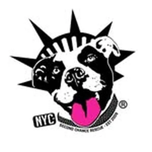 @nycscr profile image
