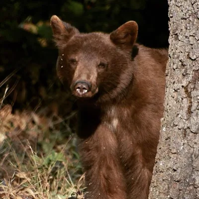 @oakglenpreserve profile image