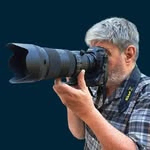 @ocasime profile image