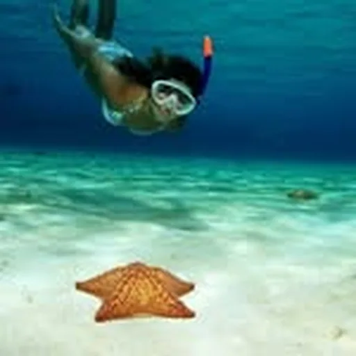 @oceannomads profile image
