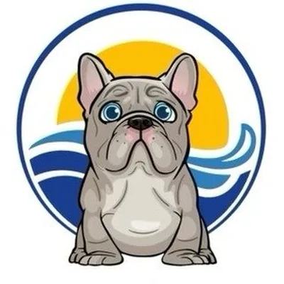 @oceansidefrenchbulldogs profile image