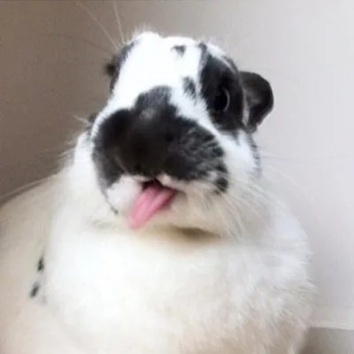 @octoriverdaniel profile image