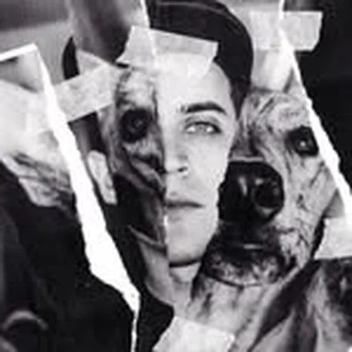 @oddocl profile image