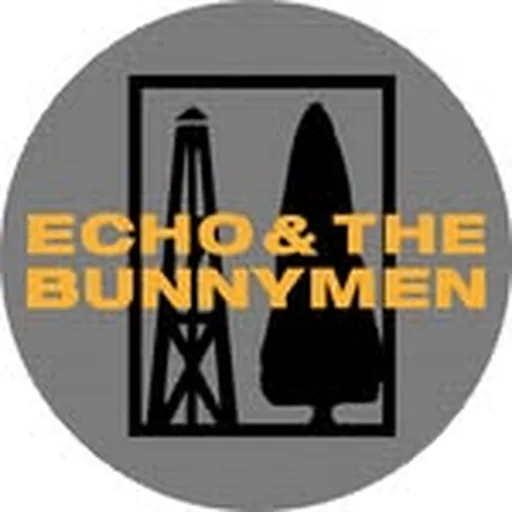 @officialbunnymen profile image