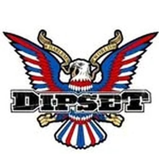 @officialdipset profile image