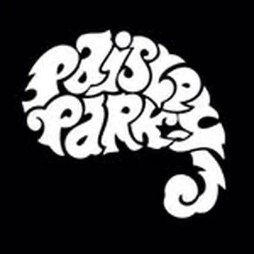 @officialpaisleypark profile image