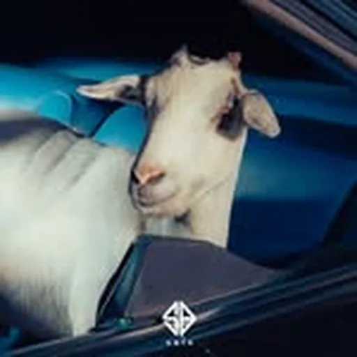 @officialsb19 profile image