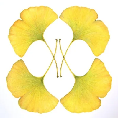 @oh.e.ny profile image