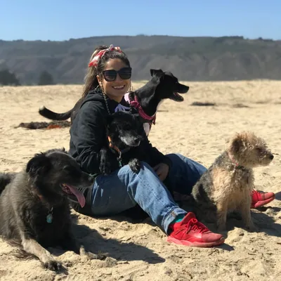 @oiranimal profile image