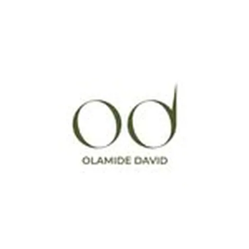 @olamide_david profile image