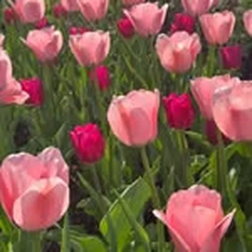 @oldwestburygardens profile image