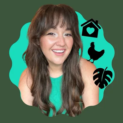 @olivebranchcottage profile image