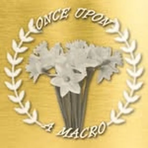 @onceupon_a_macro profile image