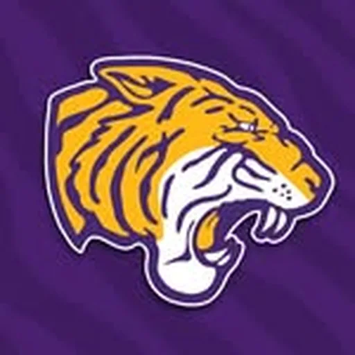 @onuathletics profile image