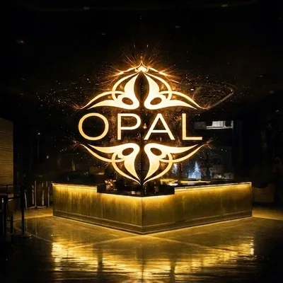 @opalsocialclub profile image