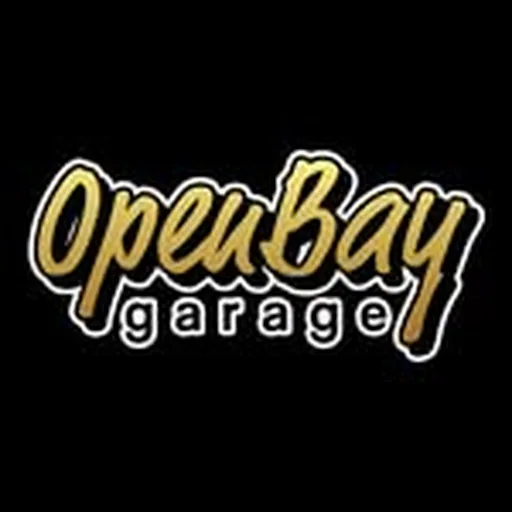 @openbaygarage profile image