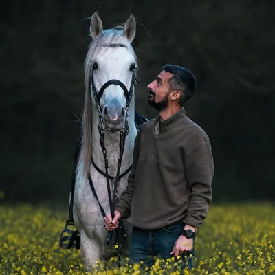 @orbithorsejourneys profile image
