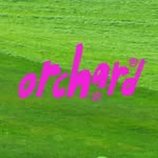 @orchard.nyc profile image