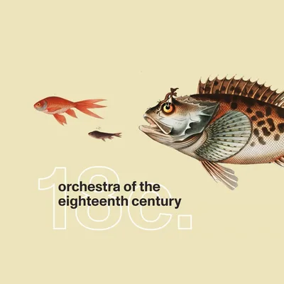 @orchestra18c profile image