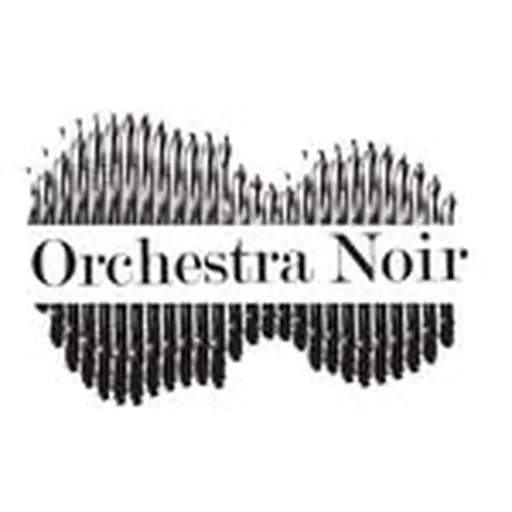 @orchestranoir profile image