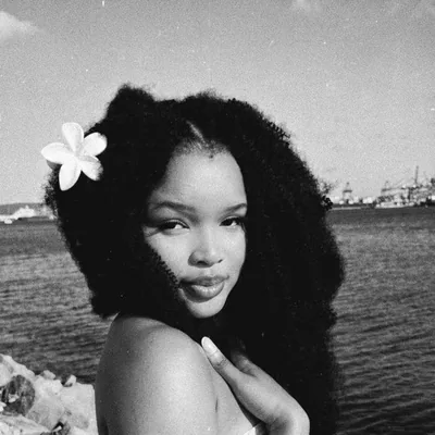 @orchid_musiq profile image