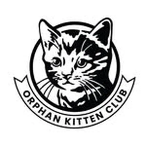 @orphankittenclub profile image