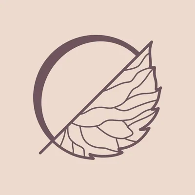 @orticawedding profile image