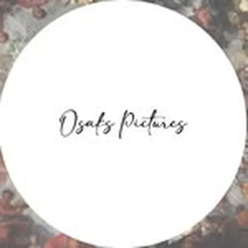 @osakspictures profile image