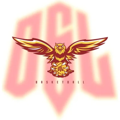 @oslbasketball profile image